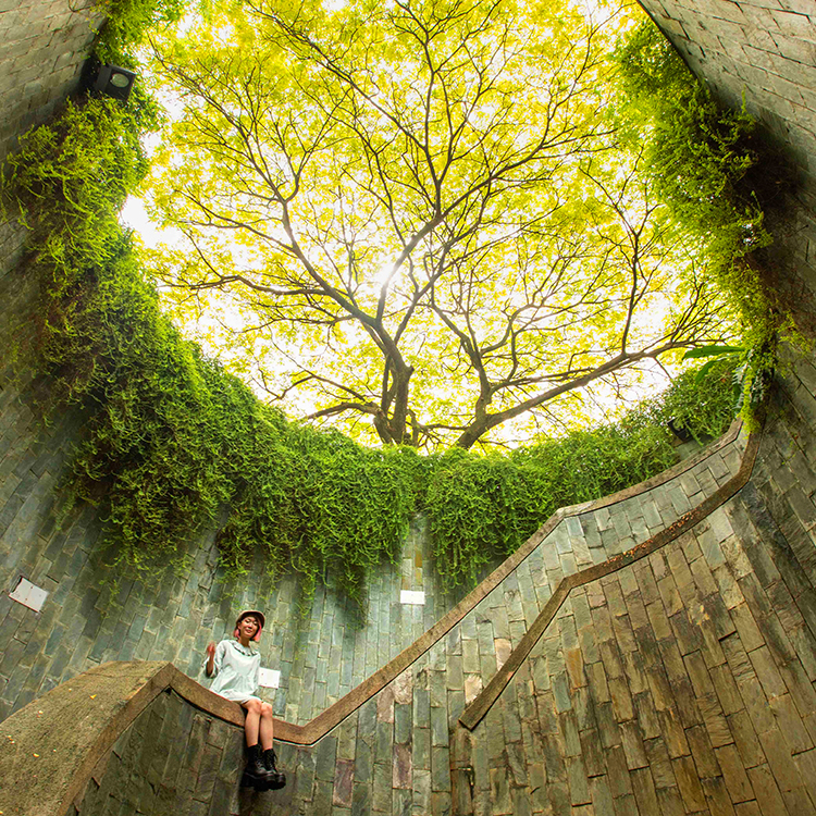 Lush greenery in Fort Canning Park. Photo by Tim Cuff.