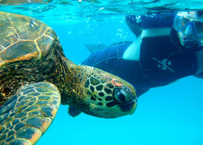 Galapagos INP