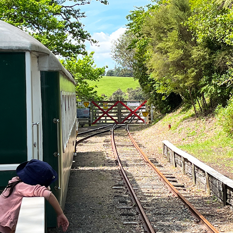 On board the vintage train in Kawakawa.