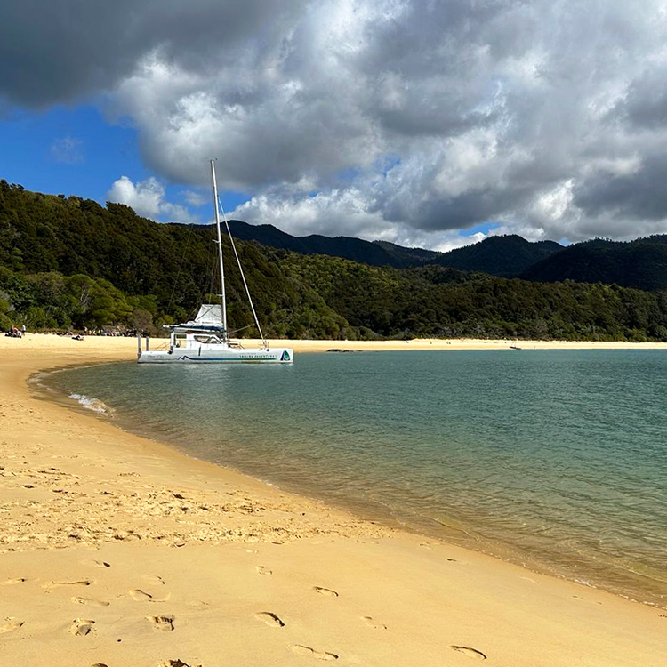  The golden sands of Apple Tree Bay. Photo by Elisabeth Easther.