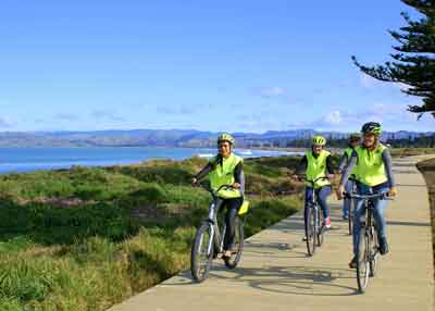 Cycle Gisborne INP