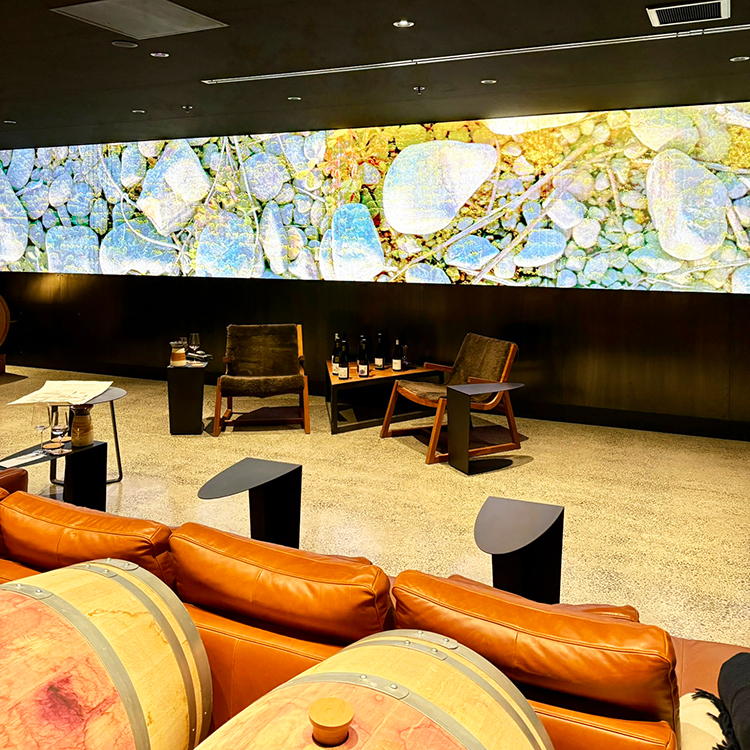  Inside the Smith & Sheth oenothèque. Photo by Jo Percival