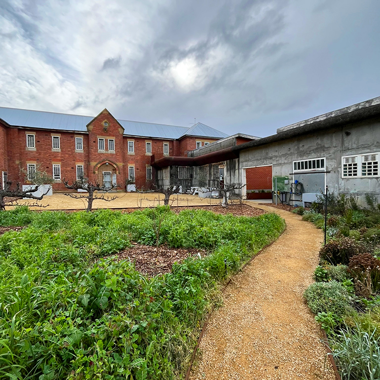 The lush gardens at The Agrarian Kitchen in New Norfolk.
