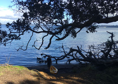 kawau inp