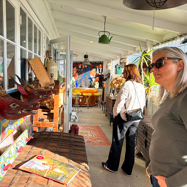 Browsing at Wicked Secret in Tauwharenikau. Photo by Jo Percival.