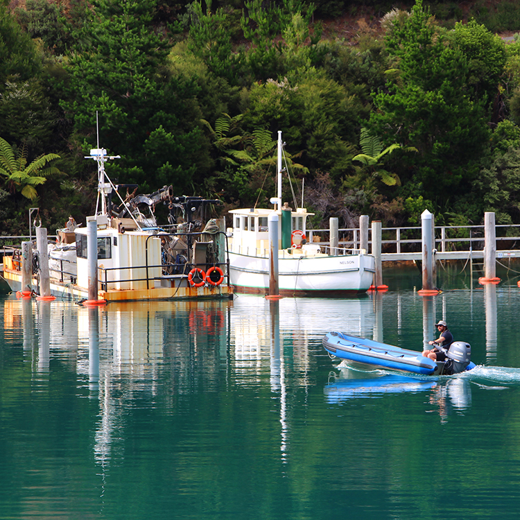 The Heritage Explorer tender heads ashore in the Marlborough Sounds.
