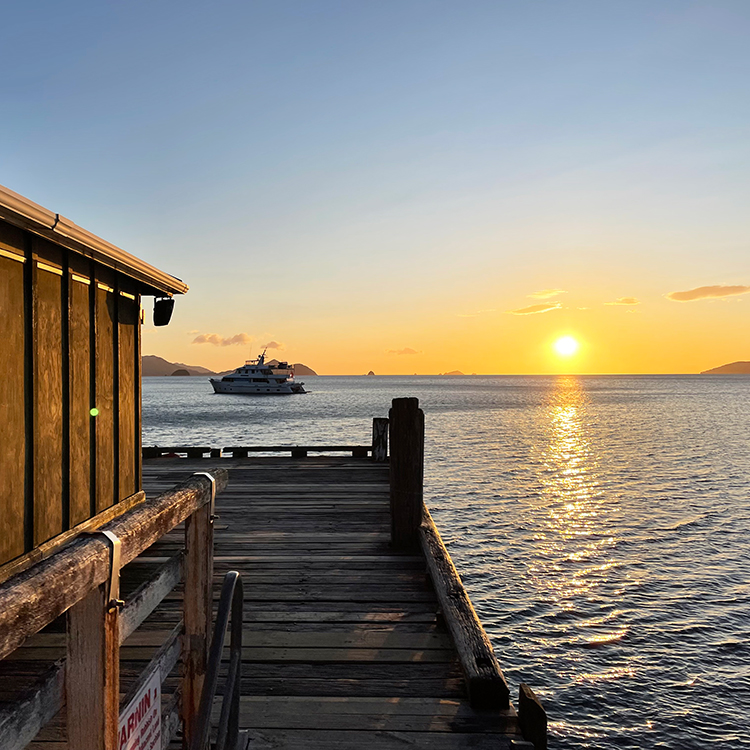 The Marlborough Sounds is a dreamy setting for a cruise. 