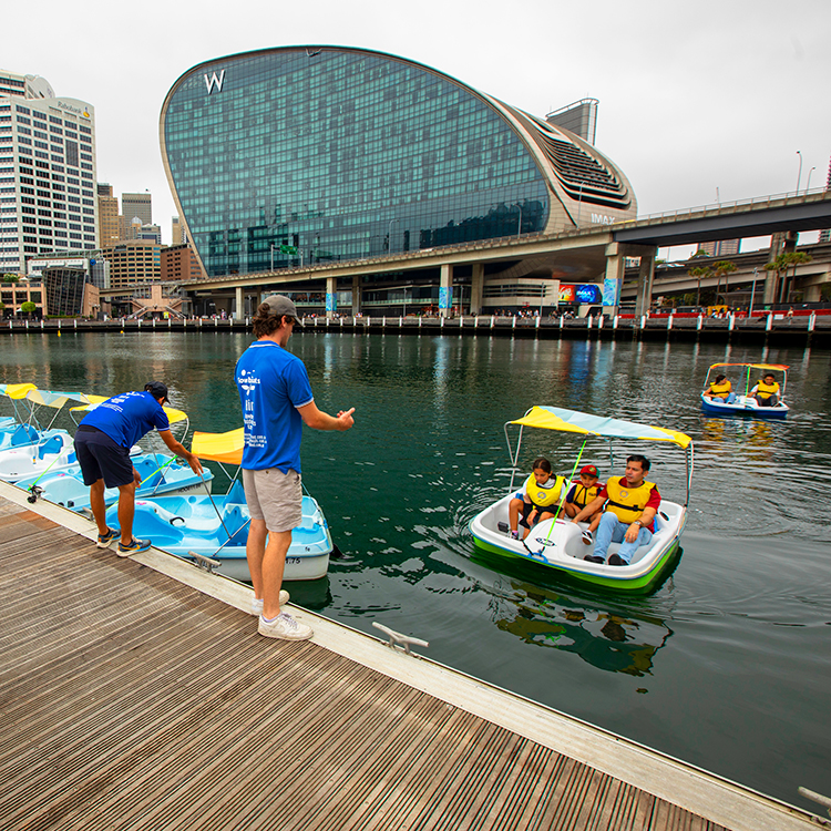Paddleboats in Sydney's Circular Quay. Photo by Tim Cuff.