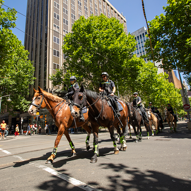 Mounted police patrol the streets of Melbourne. Photo by Tim Cuff.