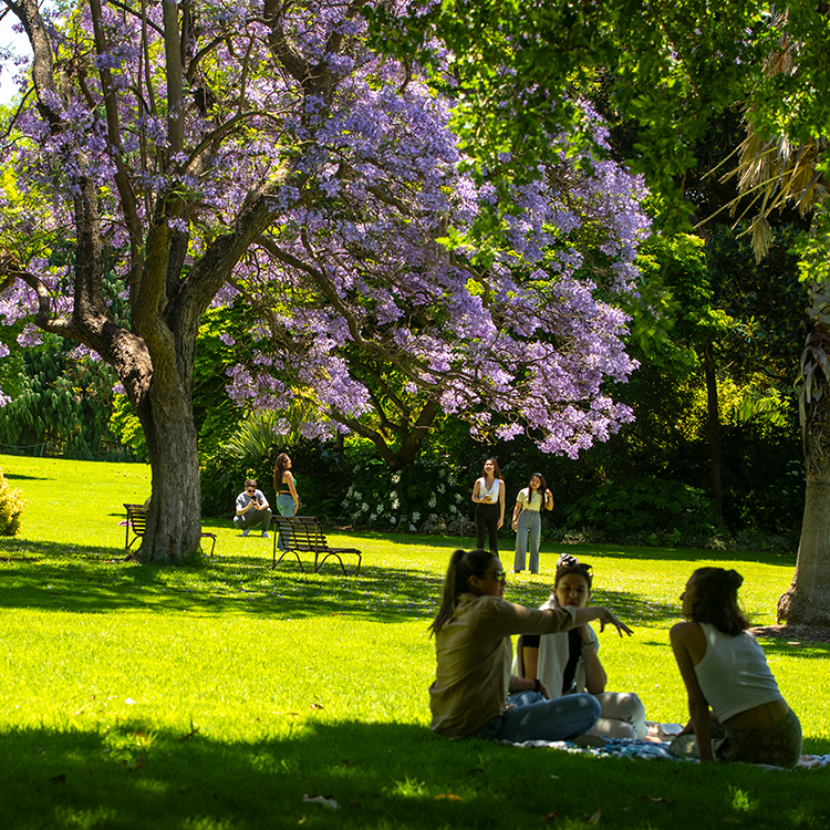Picnickers in Melbourne. Photo by Tim Cuff.