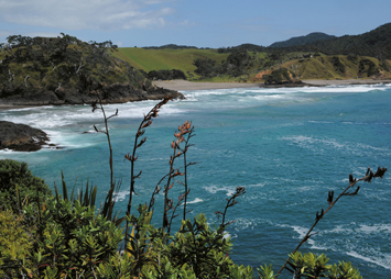 Northland coast