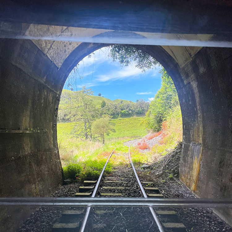One of the many tunnels on the Forgotten World Adventures rail cart journey