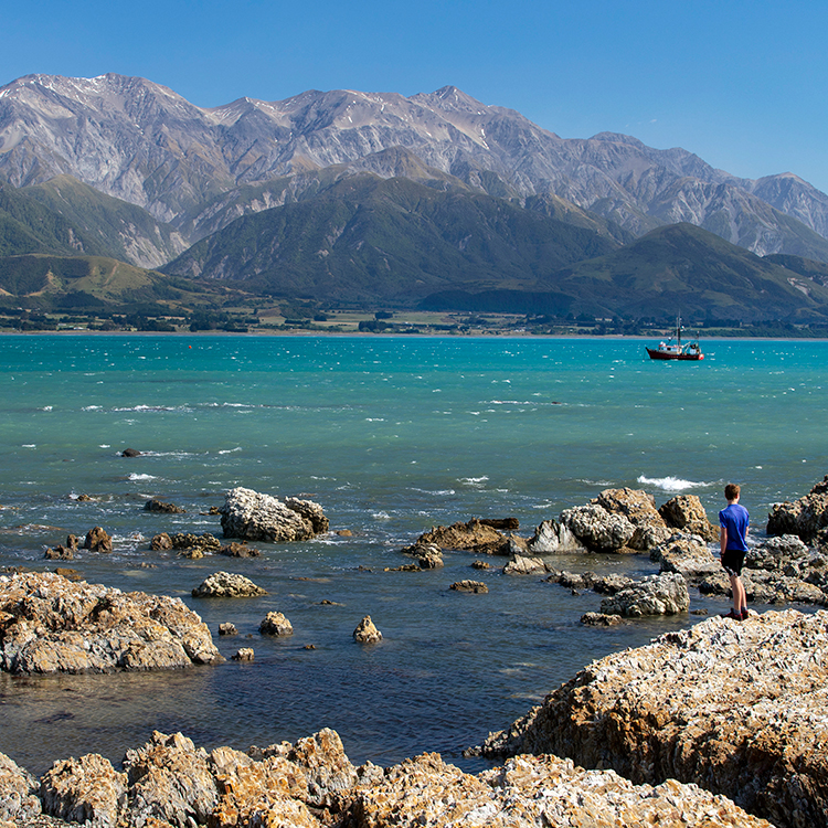  The coastline at Kaikōura is rugged and beautiful. Photo by Tim Cuff.