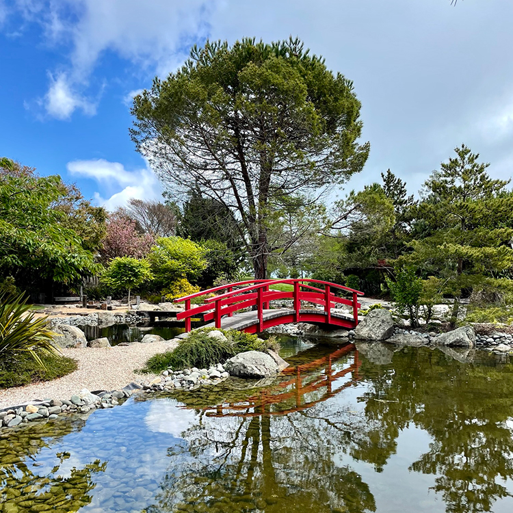  Miyazu Gardens in Nelson. Photo by Jo Percival.