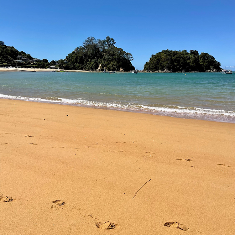 The golden sands of Kaiteriteri Beach. Photo by Jo Percival
