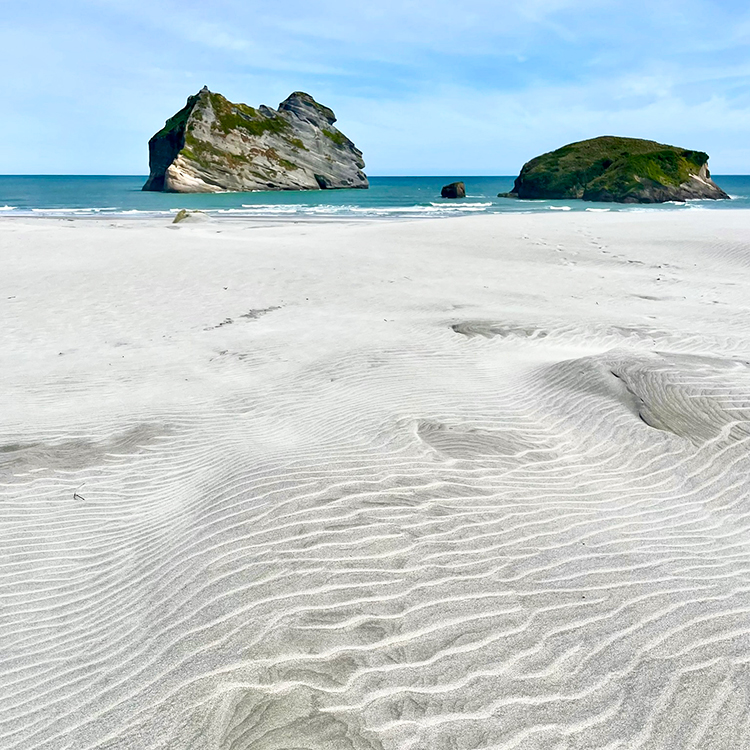  Wind-sculpted sand dunes at Wharariki Beach in Golden Bay. Photo by Jo Percival.
