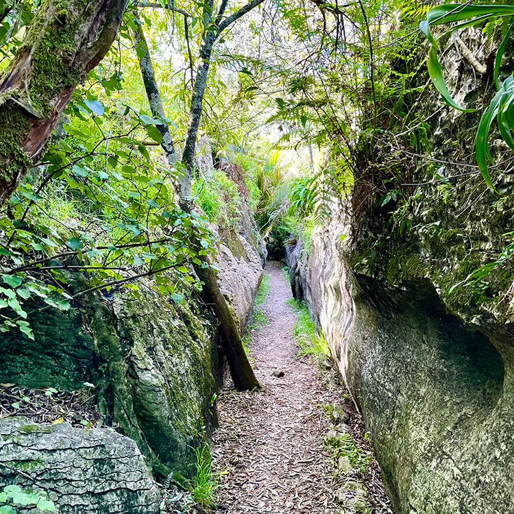  The incredible Labyrinth Rocks in Golden Bay. Photo by Jo Percival.