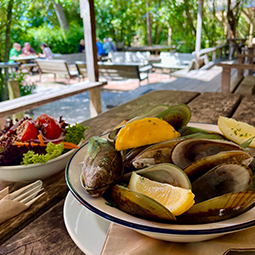 Plated dish of mussels and lemons 