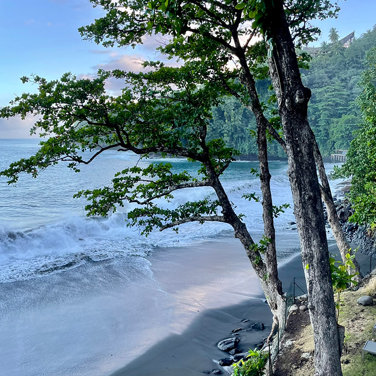  A black sand beach in Papeete. Photo by Jo Percival.