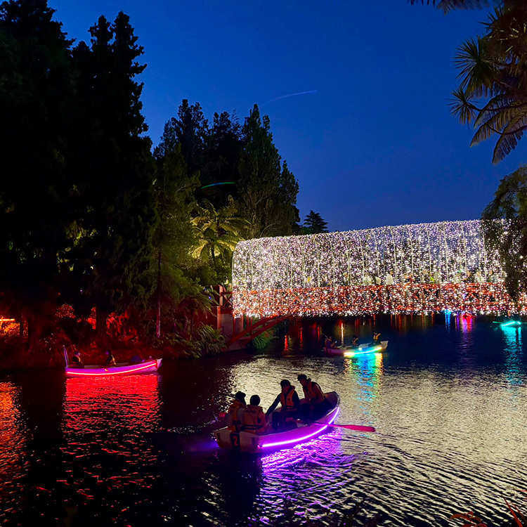 Festival of Lights.