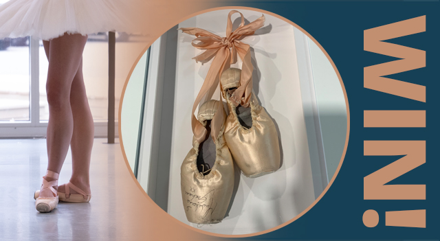 Ballet shoes photo