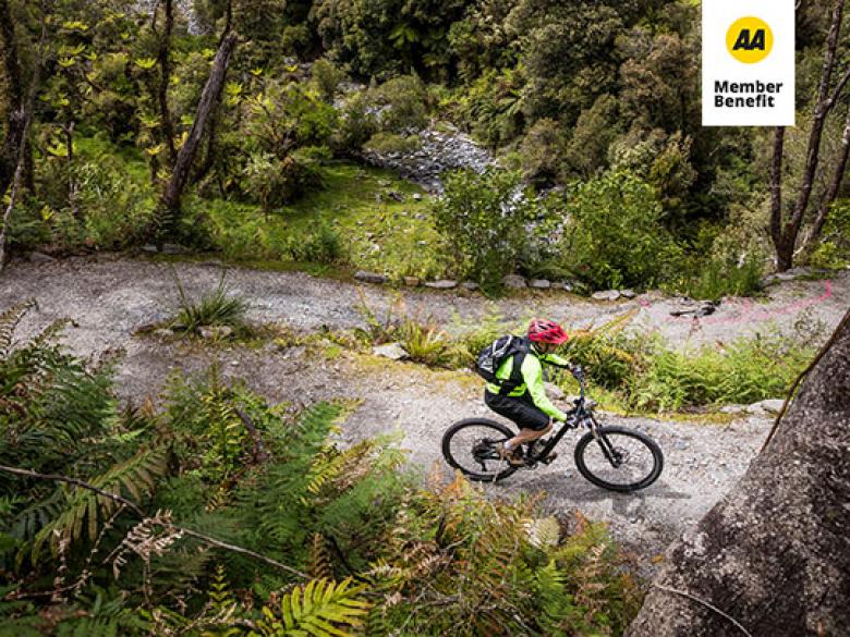Biker on forest trail