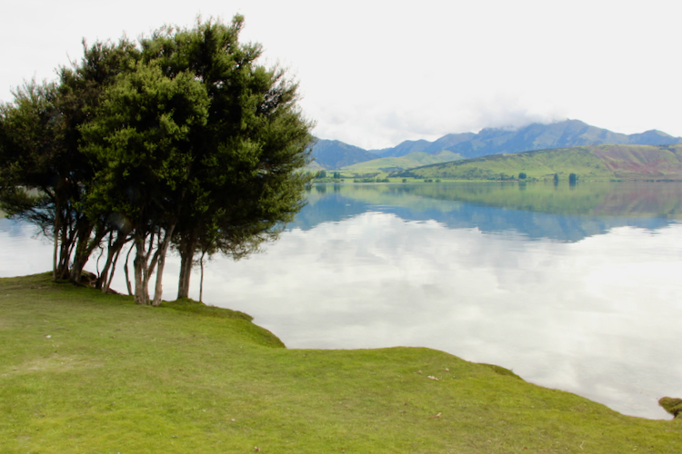 Painterly reflections in Lake Wānaka.