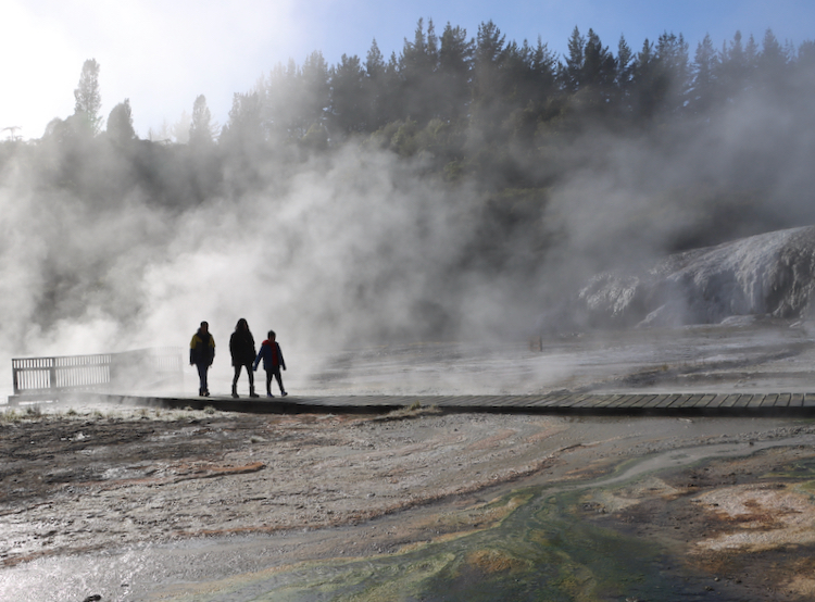 A misty morning at Ōrakei Kōrako.