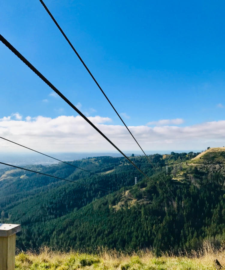 Ziplines