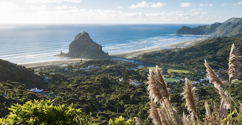 Lion Rock at Piha Beach