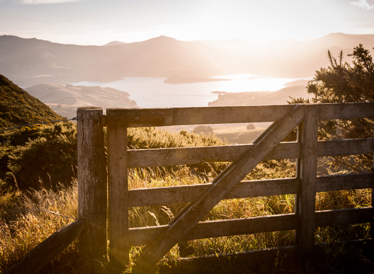 Farmland views on Banks Peninsula