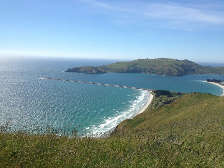 The Aramoana Mole