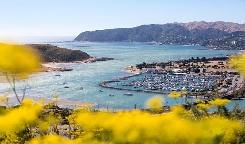 Looking out over  Plimmerton to Porirua Harbour and Pauatahanui Inlet