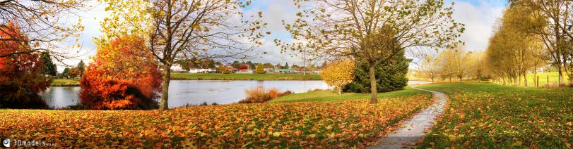 Autumn colours in Tokoroa