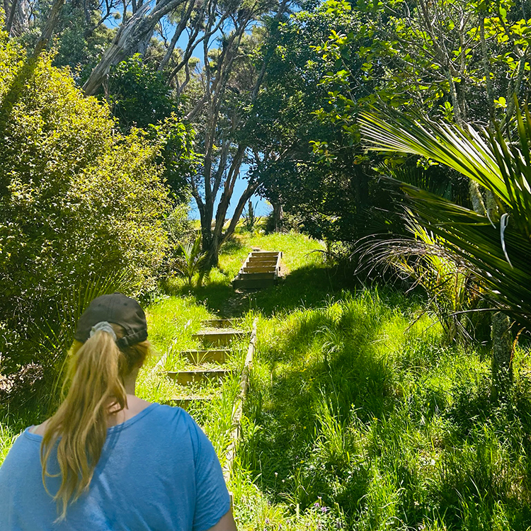 Rotoroa Island has a network of easy walking tracks to explore. Photo by Emily Draper.