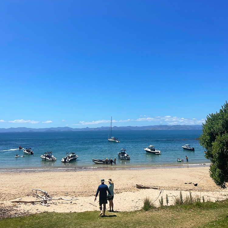 Take a dip on Rotoroa Island. Photo by Emily Draper.