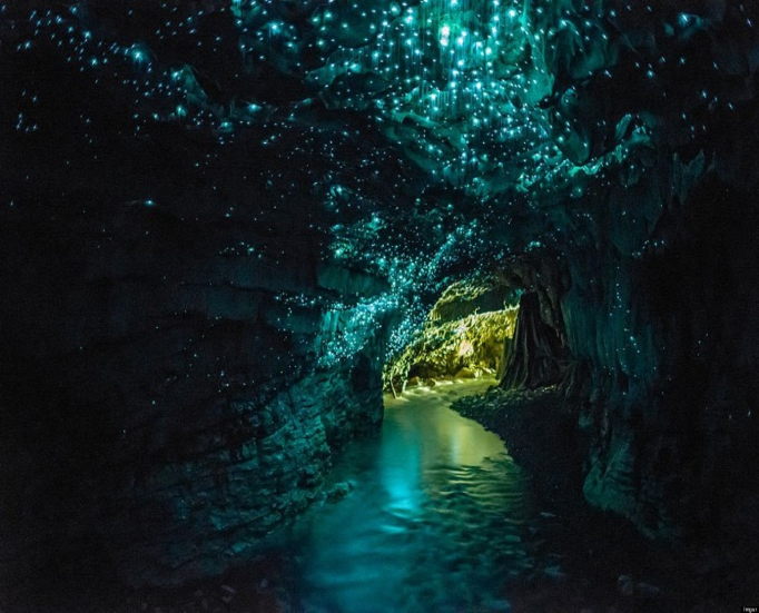 Te Anau glowworm caves