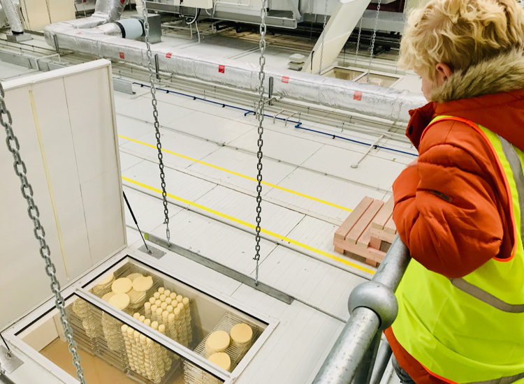 Whitestone cheese tour