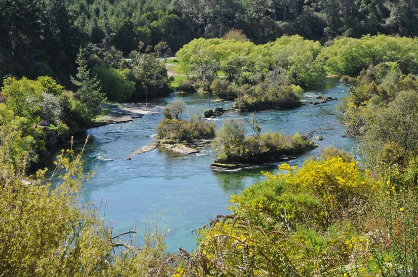 Taupo Walkway 2 Liz Light