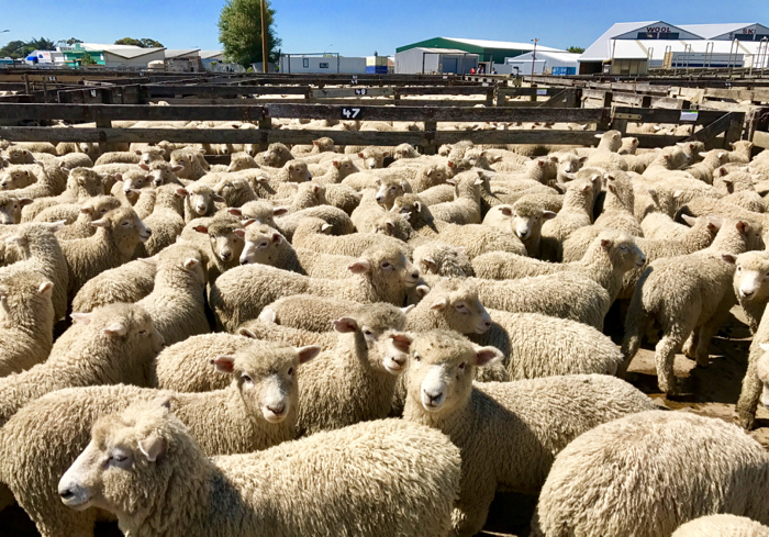 Saleyards