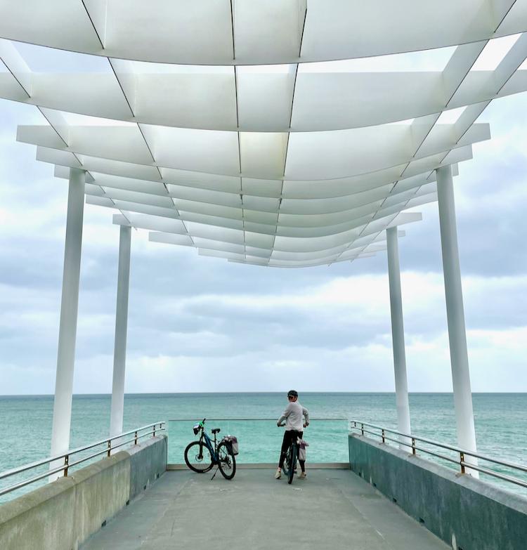 Napier Viewing Platform