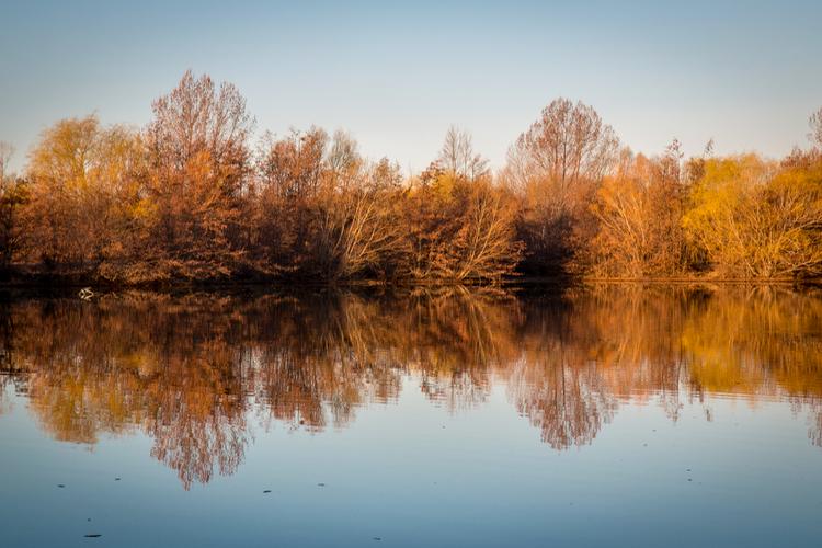 Autumn in the Mackenzie District