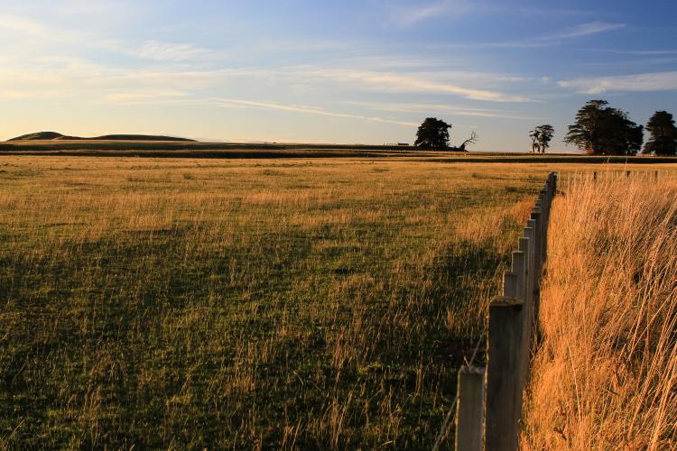 Manawatū Flatlands