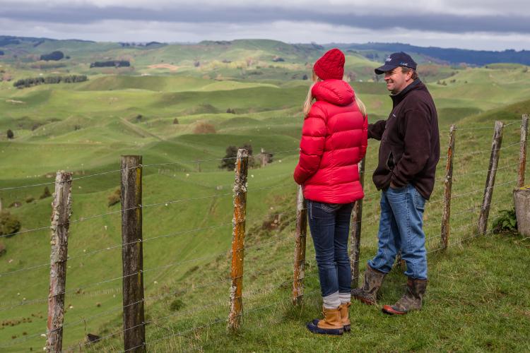 Manawatū Farmstay