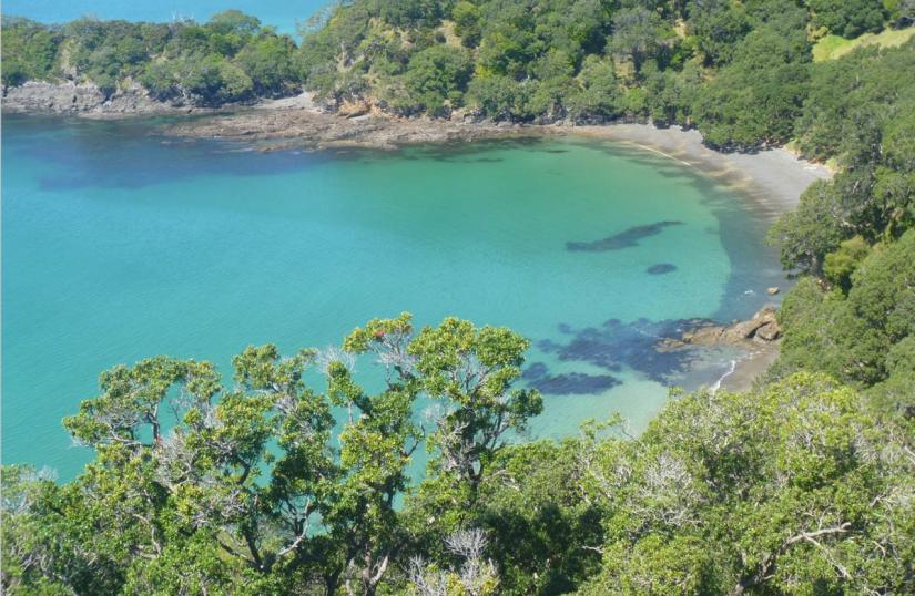 Paparahi Point, Mimiwhangata Marine Reserve 
