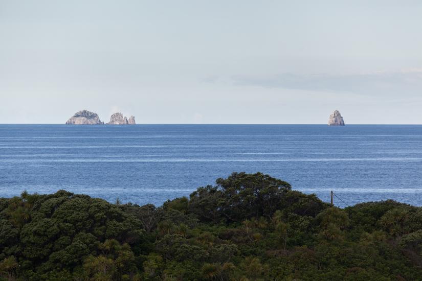 Poor Knights, Mimiwhangata Marine Reserve 