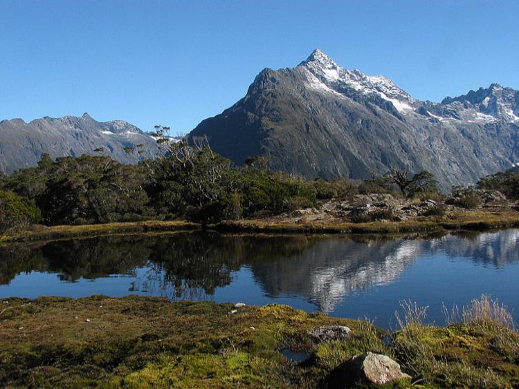 Key Summit on the Routeburn Track