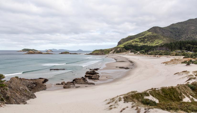 Ocean Beach, Whangārei