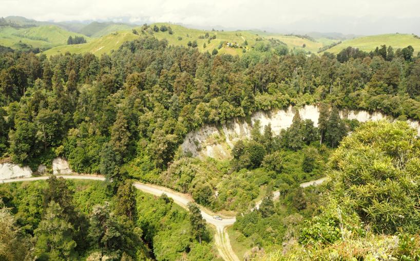 Ruahine valley