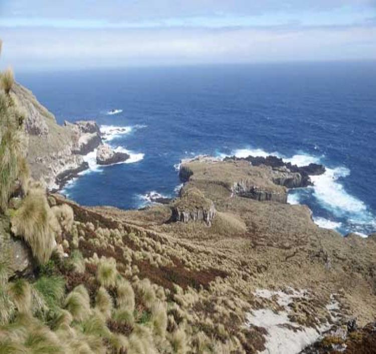 Antipodes Island Marine Reserve